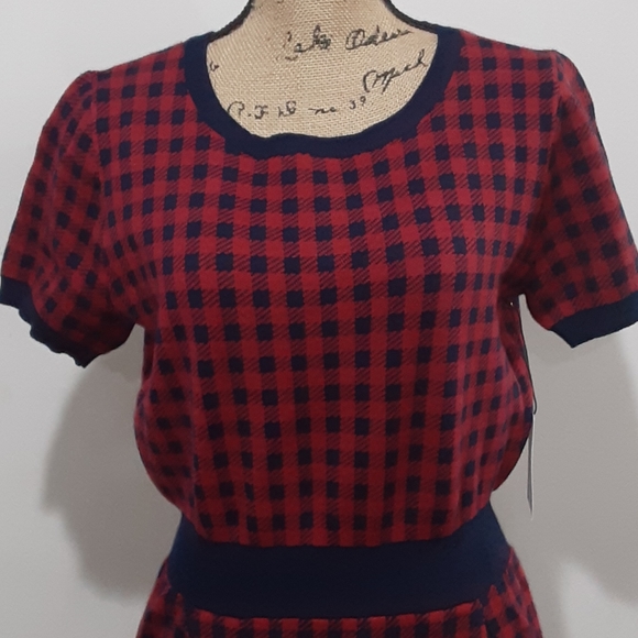 Modcloth red & blue gingham dress - Picture 4 of 16